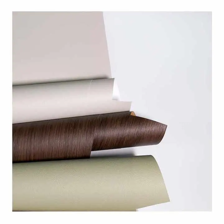 Nahoana ny sarimihetsika PP ao an-tokantrano no ho safidy tsara ho an'ny trano maoderina?